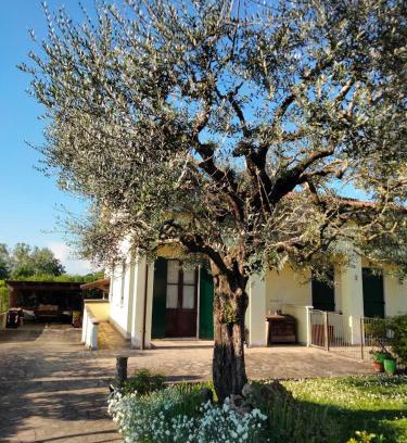 Montegrotto Terme Apartment | Casa Sandra