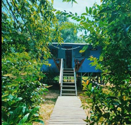 Partido de Tigre House | Casa Tío Camilo