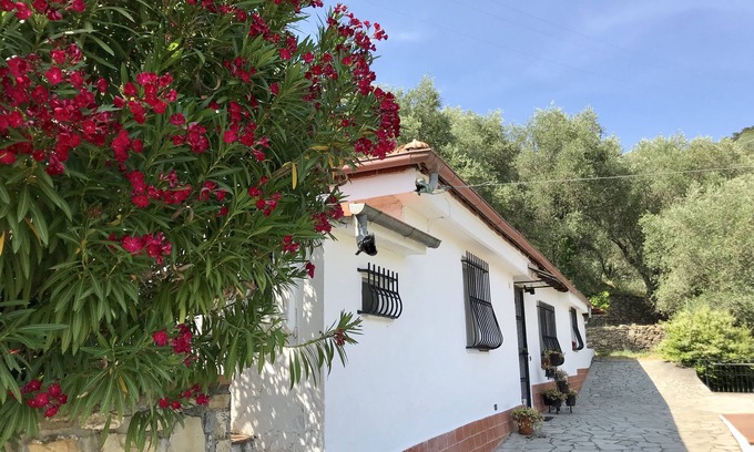 Diano San Pietro House | Casa Uliveto