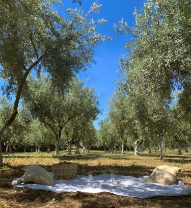 Santa Maria di Licodia House | Casa vacanze Etna