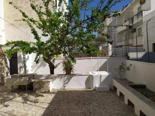 Lido Conchiglie Apartment | Casa vacanze le sirene