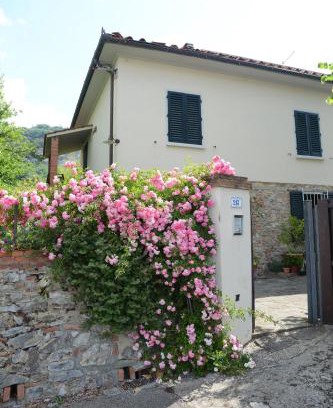 Monsummano Terme House | Casa1