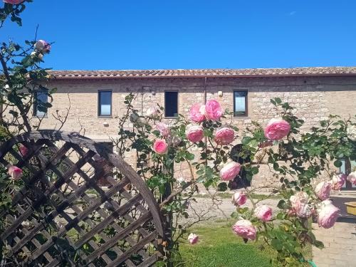 Casenuove House | Casale Il Cantico della Tenerezza