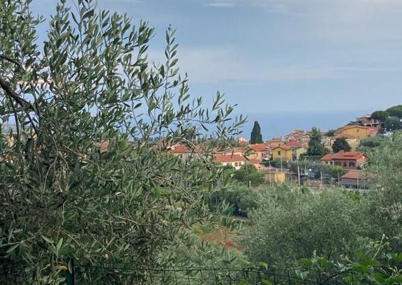 Pompeiana Apartment | Case giardino