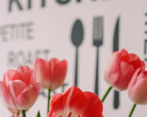 Santo Stefano al Mare Apartment | Case Vacanze Paola