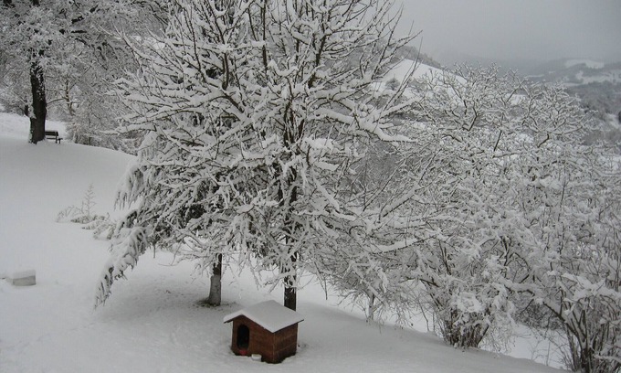 Cagli House | Casolare Festivity - New Year 20-25 people in the Marche region in Acqualagna