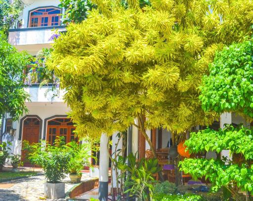 Weligama Resort | Castle Bay Resort