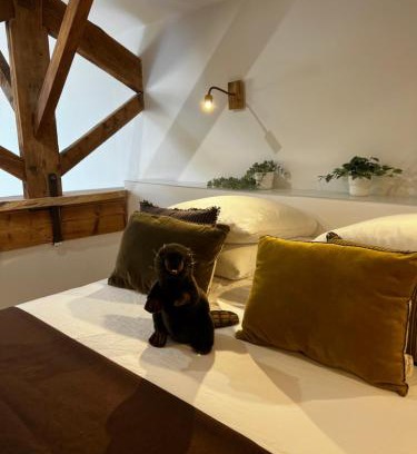 Aubagne Apartment | Castor Coquin Aubagne Cassis Aix en Provence