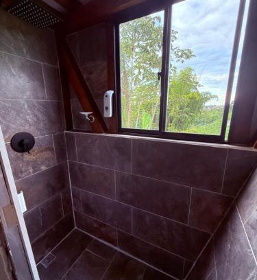 Sevilla Other | Cattaleya