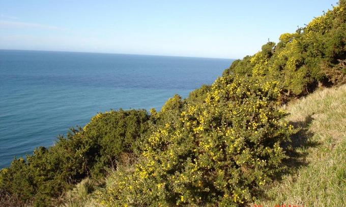 Eletot Apartment | Caux Gîtes