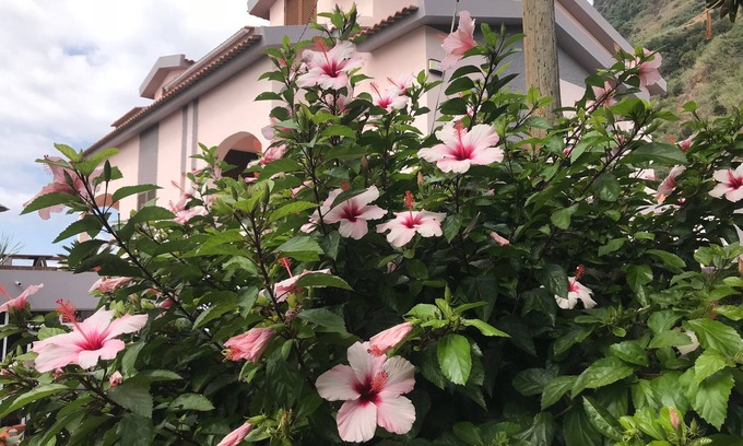Jardim do Mar Bed & Breakfast | Cecilia's House - Twin Room with Balcony