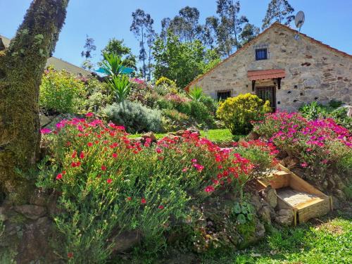 Sever do Vouga Ski Chalet | Cedrim Hillside