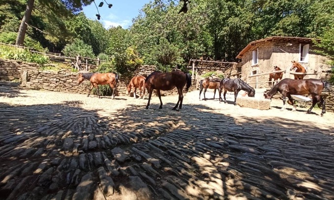 Colonnata House | Centro Trekking A Cavallo Monte Brugiana