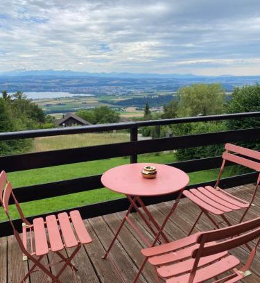 Tevenon Ski Chalet | Chalet avec vue panoramique alpes et lac