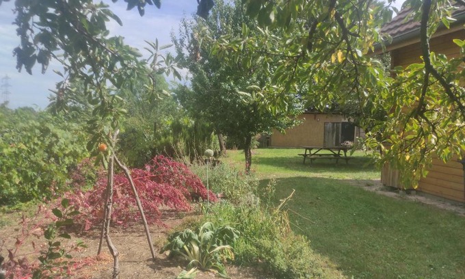 Soultz-Haut-Rhin Ski Chalet | CHALET DU FLORIVAL