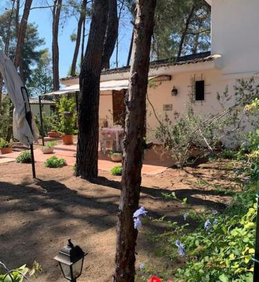 Castellaneta Ski Chalet | Chalet Felicita con giardino Immerso nel bosco