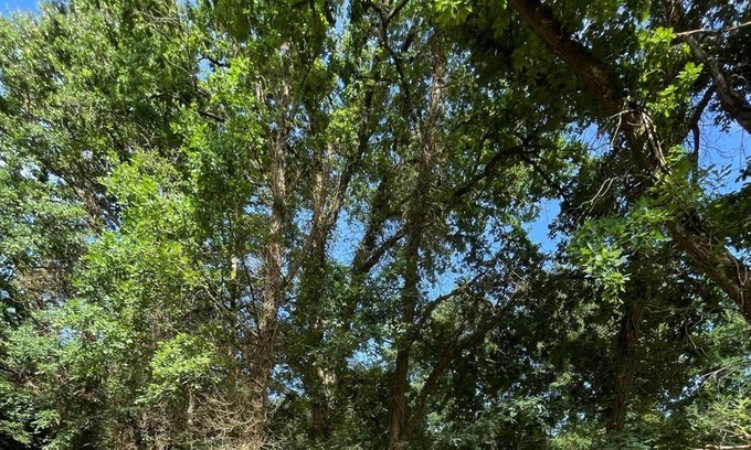 Acheres-la-Foret Ski Chalet | Chalet in the heart of the Fontainebleau forest