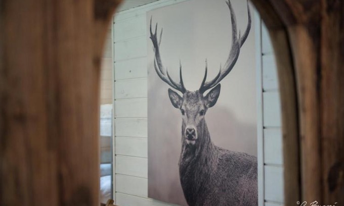 Buellingen Ski Chalet | Chalet Le Grand Cerf