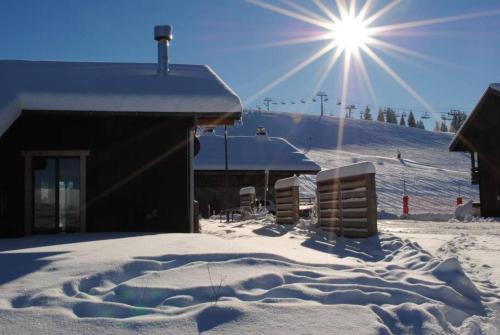 Les Gets Ski Chalet | Chalet Petit Pierre Les Gets - Mountain Voyages