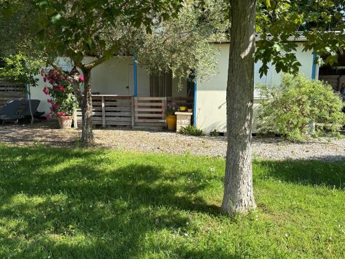 Latour-Bas-Elne House | Chalet Proche mer