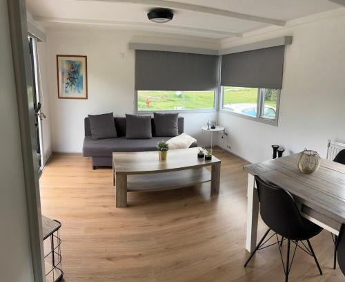 Anloo Ski Chalet | Chalet with nice garden in Anloo