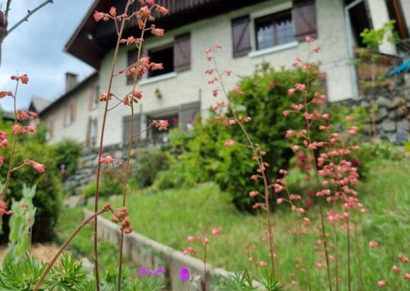 Allemond Ski Chalet | CHALETS JEANNE & ARNOL à Allemond - Grand Domaine Alpe d'Huez