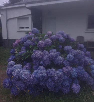Renaze House | Chambre calme et sa mezzanine