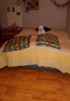 Chalon-sur-Saone House | CHAMBRE CHEZ L HABITANT