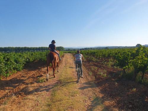 Carces House | Chambre d'hôte Belle Vue