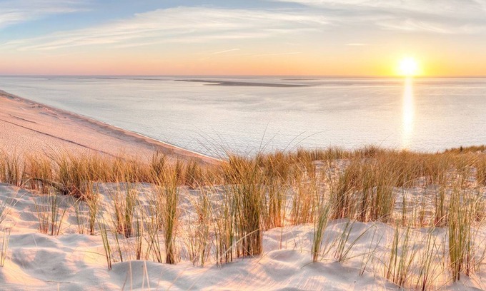 Gujan-Mestras Bed & Breakfast | Chambre d'hôtes Ô Bois Plage