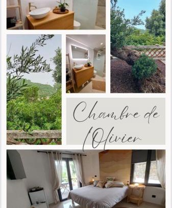 Taradeau Bed & Breakfast | Chambre de l Olivier