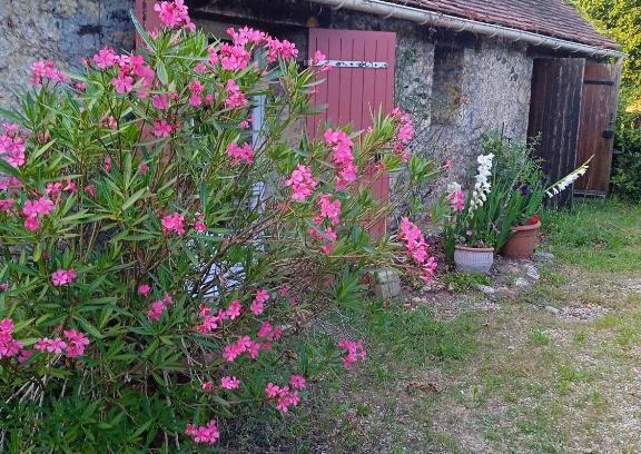 Alles-sur-Dordogne House | Chambre indépendante au calme