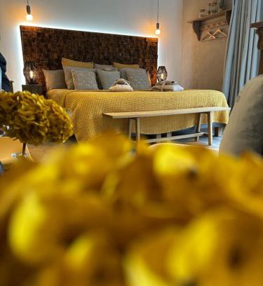 Beaumont Saint-Cyr Bed & Breakfast | Chambre Tuffeau "Belle An Pierre chambres d hôtes & spa"