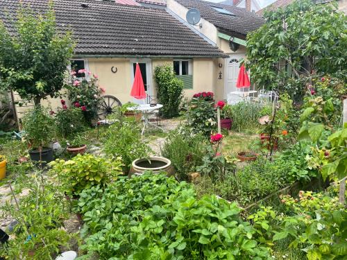 Fontainebleau Bed & Breakfast | Chambres d'hôtes La Catounière