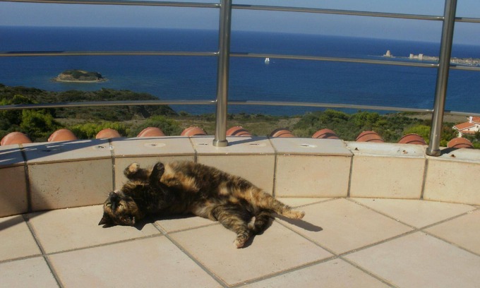 Pylos-Nestoras House | Charly Point Villa-apartment, double room