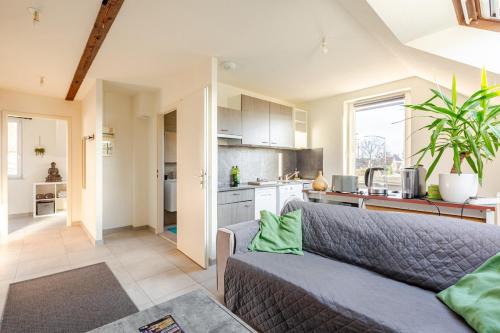 Erstein Apartment | Charmant appart près Europa-Park Rulantica 30 min