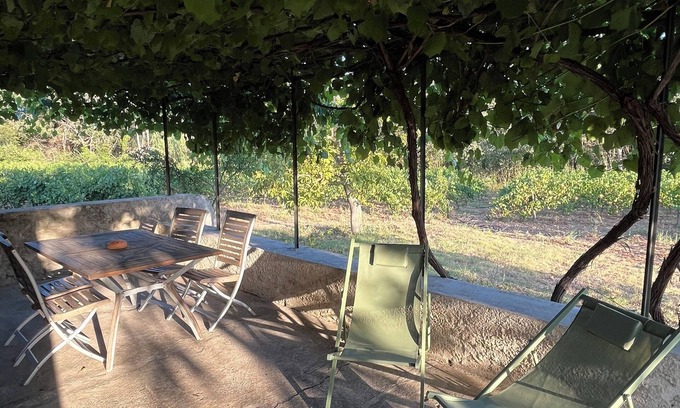 Montfort-sur-Argens House | Charmant Cabanon Provençal