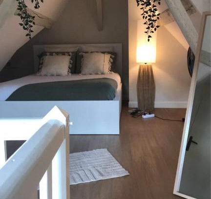 Chartres Apartment | Charmant Duplex - Parking inclus - Au bord de l'Eure