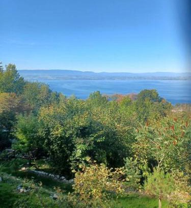 Evian-les-Bains Apartment | Charmante location Hauts d'Evian