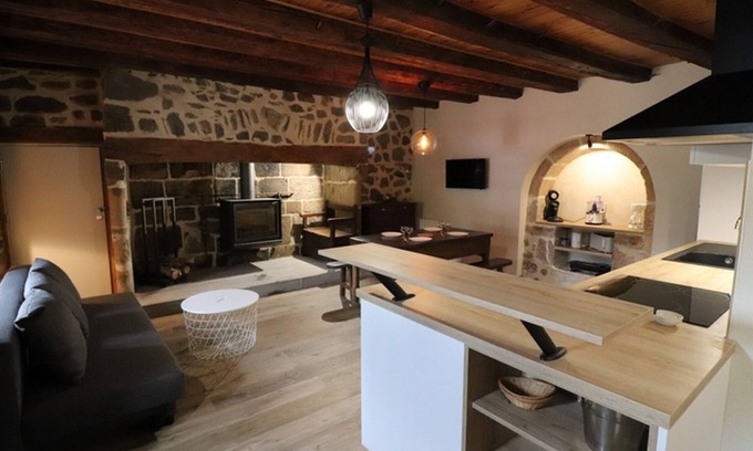 Saint-Jacques-des-Blats Cottage | Charming house with terrace and fireplace - Pets allowed