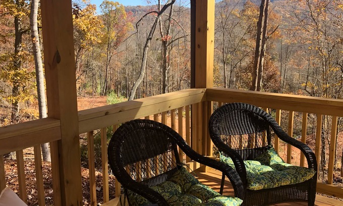 Candler Cabin | Charming 3-bedroom cabin with AC and WiFi