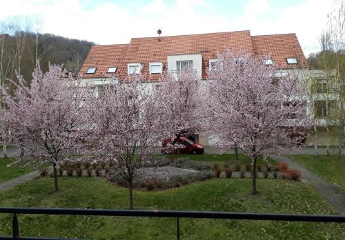 Barr Apartment | Charming 3-star furnished tourist accommodation in Barr