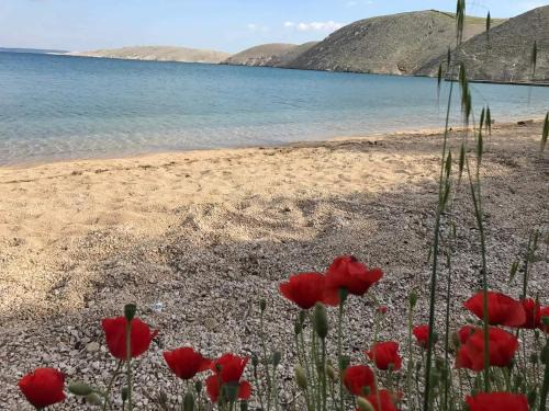 Vlasici Apartment | Charming apartment piccolo paradiso