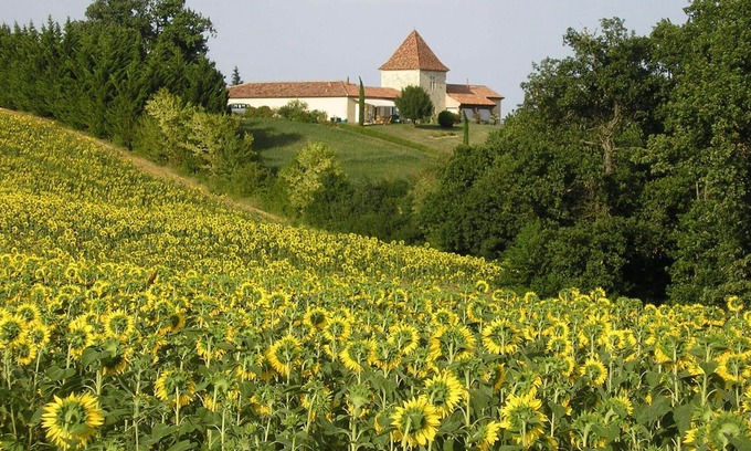 Castillon-Massas House | Charming cottage for 6 people, in a beautiful property, in the countryside, Wifi