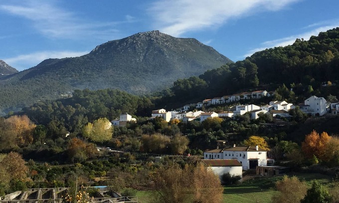 El Bosque Apartment | Charming Cottage