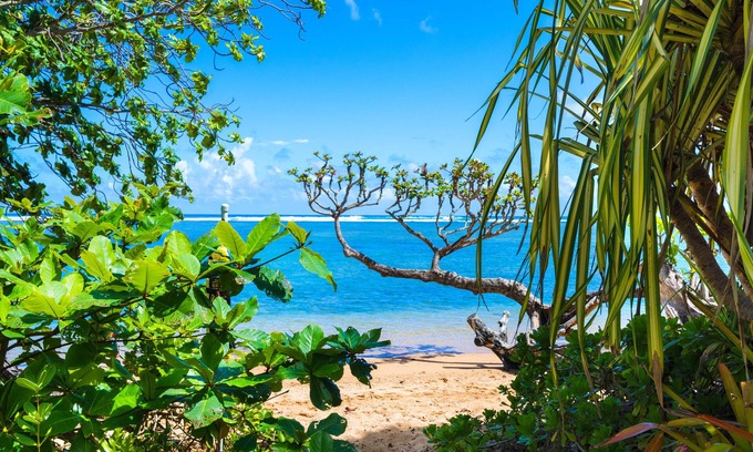 Kilauea Cottage | Charming cottage, nearby access to Anini beach - 85 steps away