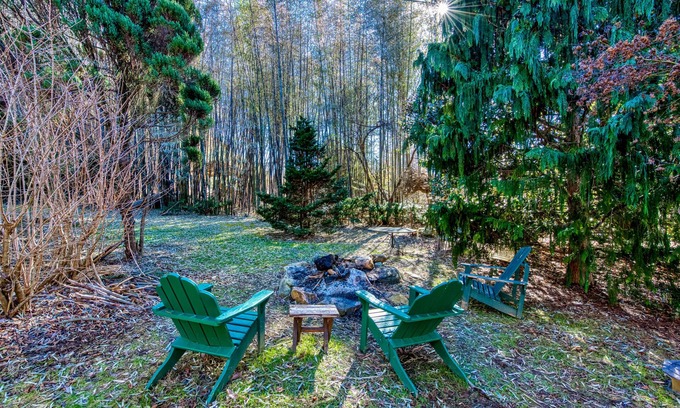 Arden Cabin | Charming dog-friendly mountain cabin with fireplace, central AC, & fast WiFi,