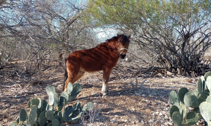 Uvalde Other | Charming farmhouse with AC and WiFi in soothing Uvalde, 20 M to Concan Tx