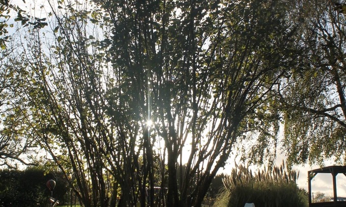 Saint-Martin-de-Gurson Bed & Breakfast | Charming gîte Saint-Émilion/Bordeaux