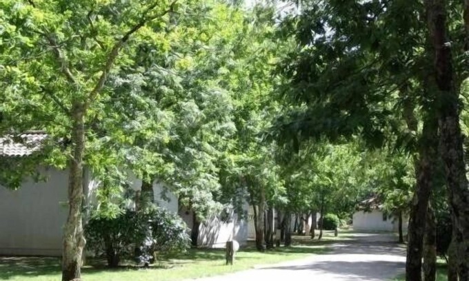 Ares House | Charming house in wooded grounds with swimming pool 500m from the beach